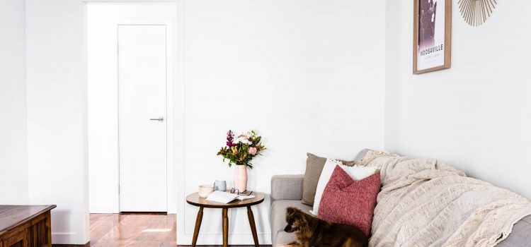 Lounge chari with dog