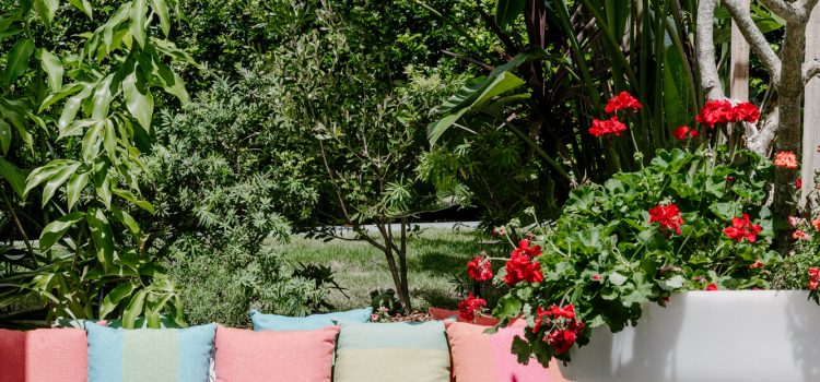 Stafford House Garden Area