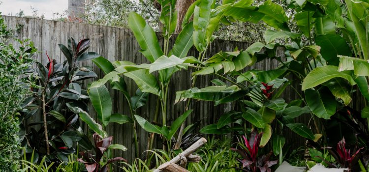 Stafford House Fire Pit