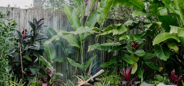 Stafford House Fire Pit