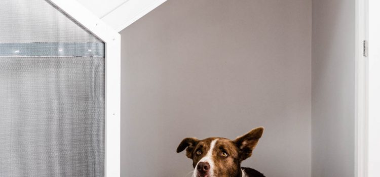 Built in Dog Kennel