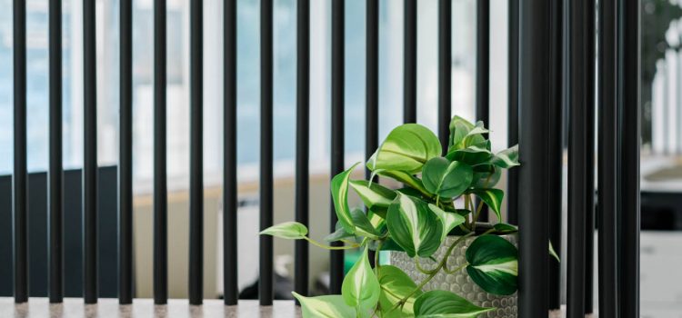 Reception Bench Sage Green with Wooden features