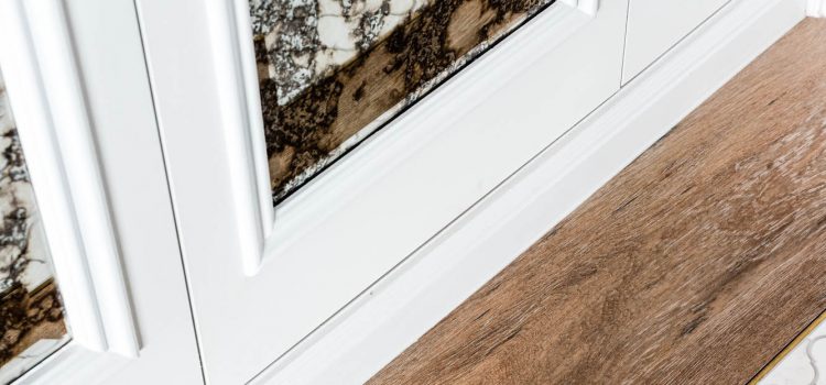 Spencer Constructions flooring details