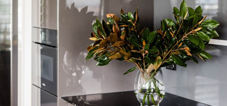 Magnolia Leaves in Brisbane Kitchen Renovation