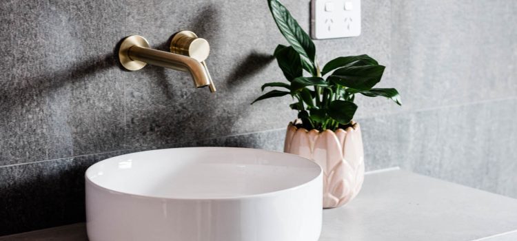 Vanity with pot plant