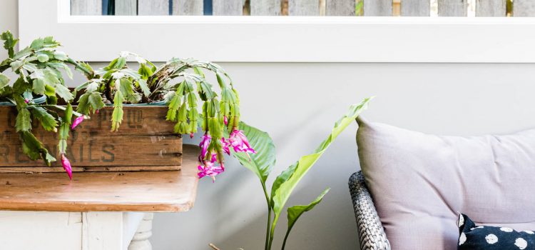 Indoor outdoor living