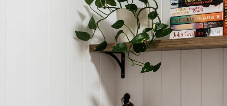 Bespoke Queenslander Details