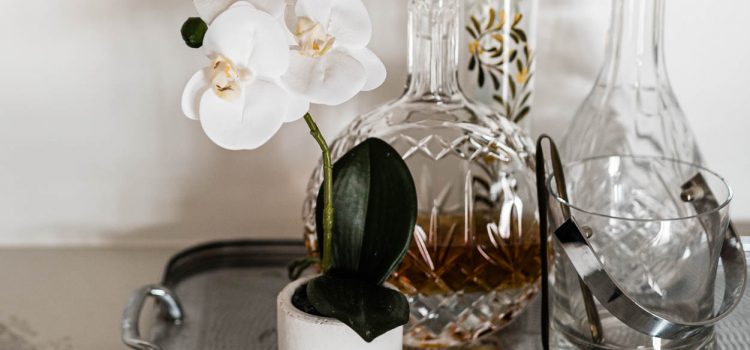 Kangaroo Point Apartment Renovation