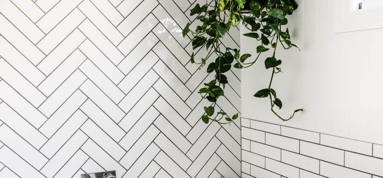 Brisbane Builder Bathroom