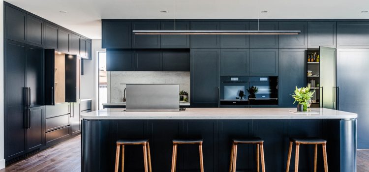 Beautiful Dark Kitchen